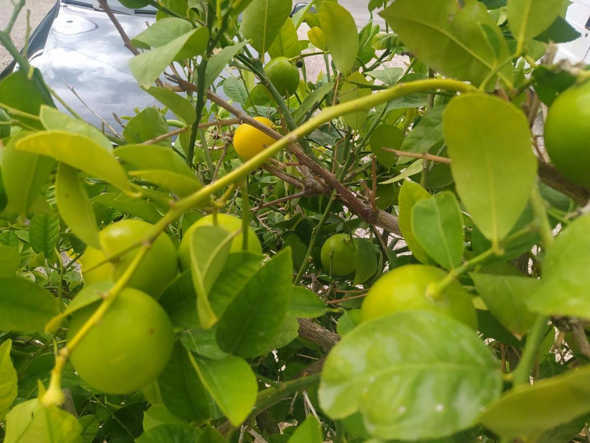 Apartmani Trubi 3 Vodice Dış mekan fotoğraf