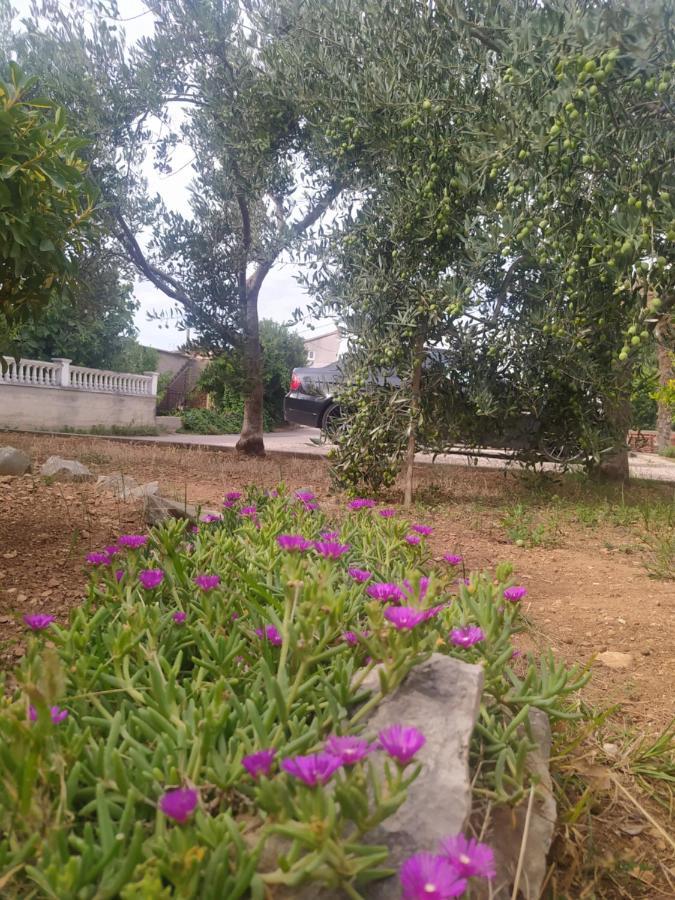 Apartmani Trubi 3 Vodice Dış mekan fotoğraf