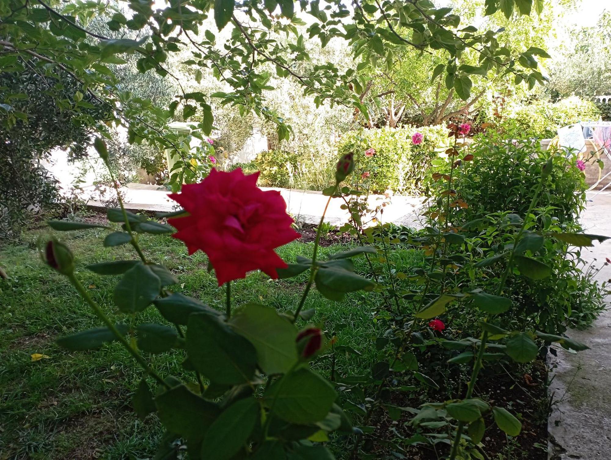 Apartmani Trubi 3 Vodice Dış mekan fotoğraf